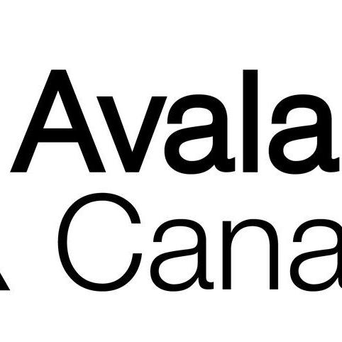 Backcountry skier killed in avalanche near Golden, B.C.